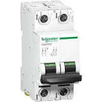 Schneider Electric A9N61537 Leitungsschutzschalter C60H-DC, 2P, 40A, C-Charakteristik