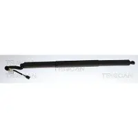 TRISCAN Gasfeder, Koffer-/Laderaum 8710 29328