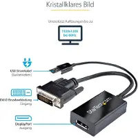 StarTech.com Dvi Zu Displayport - Usb-stromversorgung Adapter