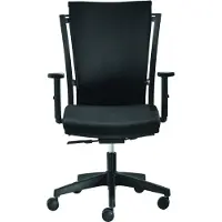 Mayer Drehstuhl 2457, mit Armlehnen,