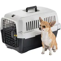 Ferplast Trasportino Gatto CLIPPER 1, IATA, Trasportino Cane Taglia Piccola e Ga