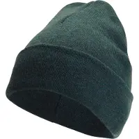 Woolpower Mütze Beanie Classic Forest Green