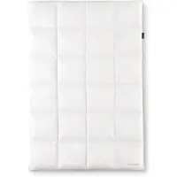 OBB Oberbadische Bettfedernfabrik OBB Black Forest Winterdecke Ava 200x200 cm, Gänsedaunen-Kassettendecke extra warm