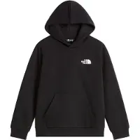 The North Face Teen Evolution Box NSE Pullover Hoodie tnf black (JK3) S