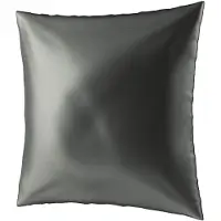 Ailoria Dekokissen "Kopfkissenbezug aus Seide BEAUTY SLEEP (65x65)"