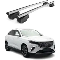 Omtec Dachträger Grundtäger für Togg T10X 2023-2025 75kg ABE Aluminium Silber 2 tlg