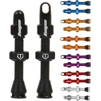 Hope Tubeless Ventile 2 Einheiten