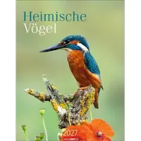 Sonstige Verlage Wandkalender 2027 mit Heimischen Vögeln: Alte Bekannte und seltene Arten, 30 x 39 cm