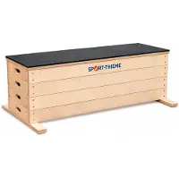 Sport-Thieme Sprungkrafttrainer "Jump", Set M