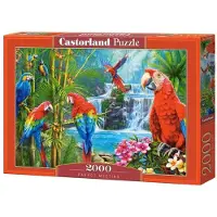 Castorland Puzzle, 2000 Teile, „Parrot Meeting“, 200870,