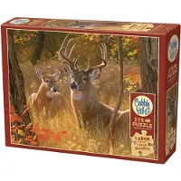 Cobble Hill Puzzle Geheimtreffen XL 275 Teile
