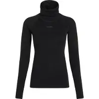 Icebreaker 300 Merinofine Polar Roll Neck Langarm-baselayer