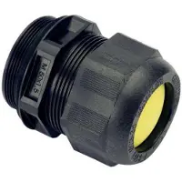 Stahl R. Kabelverschraubung 8161/7-M25-1707 M25x1,5 7-17mm schwarz 10 Stk
