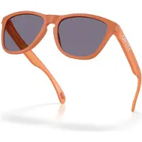 Oakley Frogskins Sonnenbrille