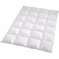 TRAUMSCHLAF Daunendecke Himalaya warm, Füllung: 100% Daunen 200x200 cm