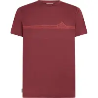 Icebreaker M Mer 150 Tech Lite Short Sleeve Tee Range Stripes port (IB01C) M