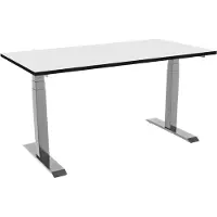 Celexon elektrisch höhenverstellbarer Schreibtisch Professional eAdjust-58123 - grau, inkl. HPL Tischplatte 125 x 75 cm
