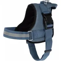 Kerbl Maestro 2.0 Gurtzeug Grün,Blau 25 mm x 64-90 cm Grün,Blau 25 mm x 64-90 cm