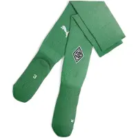 Puma Team BMG Plain Socks Replica archive green-white (07) 4