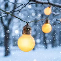 Esotec Solar Glühbirnen-Lichterkette Shining Bulbs Kugel Kugelleuchten 102180