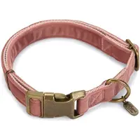 Designed By Lotte Velura Hundehalsband