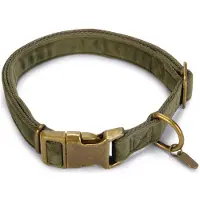 Designed By Lotte Velura - Hundehalsband - Grün - 48-70 cm x 25 mm