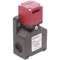 PIZZATO ELETTRICA Sicherheitsschalter 250 V/AC 6 A mit getrenntem Betätiger