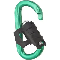 Austrialpin Ovalock Snapgate Karabiner für Sicherungsgerät grün