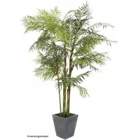 Europalms Cycasrohr Palme
