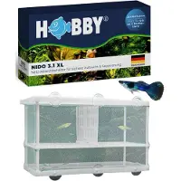HOBBY Aquaristik Nido 3.1 XL, 250 mm, 145 mm, 150 mm, Box