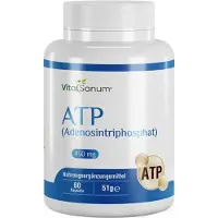 VitaSanum - ATP (Adenosintriphosphat) 450 mg 60 Kapseln