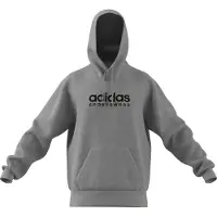 Adidas Kapuzenpullover Molton All Szn Graphic
