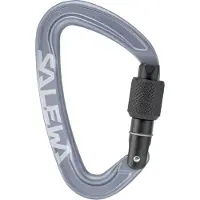 Salewa - Ortles Screw Carabiner - Schraubkarabiner grau