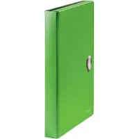 Leitz Dokumentenmappe Recycle, A4, bis 250 Blatt, 5 Fächer & Ablagefach, blickdicht, 100 % recycelbar, Blauer Engel, Kunststoff, grün