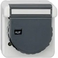 Gira 444031 SCHUKO KD Bajonett + BSF WG