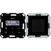 Gira Unterputz-Radio RDS schwarzglasoptik 228005 (228005)