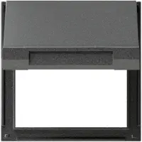 Gira 065467 - AC - Anthrazit - Typ F - 1 Stück(e)