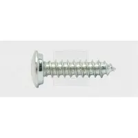 Swg Nummerplade-skruer 5.6 mm 19 mm Krydskærv Philips Stål verzinkt 100 stk
