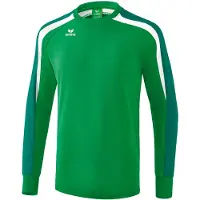 Erima Pullover Liga 2.0