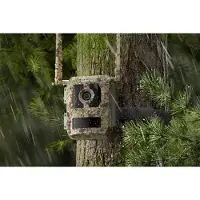 Reolink Talon Pro Camovue Überwachungskamera