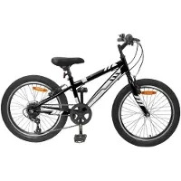 vidaXL Mountainbike 20 Zoll 6-Geschwindigkeit für 5-8 Jahre alt