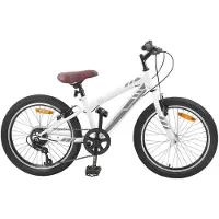 vidaXL Mountainbike 24 Zoll 6-Geschwindigkeit für 8-12 Jahre alt Weiß