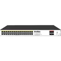 Ernitec 36-Port Gigabit Managed Layer