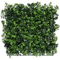 Karat Pachysandra