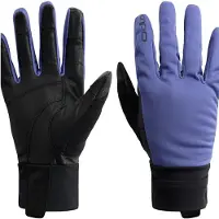 Odlo Nordic Warm Handschuhe