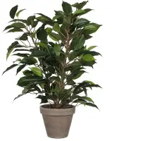 Mica Ficus Natsja Künstliche Pflanze