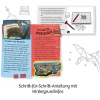 Kosmos Ritter-Schatz