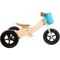 Small Foot Trike Maxi 2 in 1