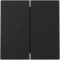 Gira 3295005, Schwarz, , Matte, Aufspannplatte