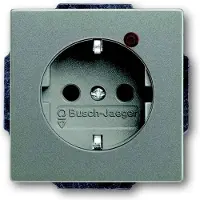 Busch-Jaeger 2310EUGL/VA-803-11